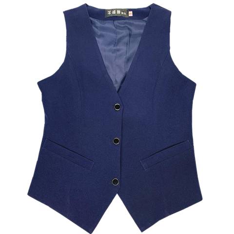 One piece of horse armor in the blue
